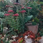 Jardin Du Chay Σπίτι διακοπών