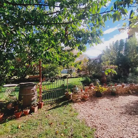 Jardin Du Chay