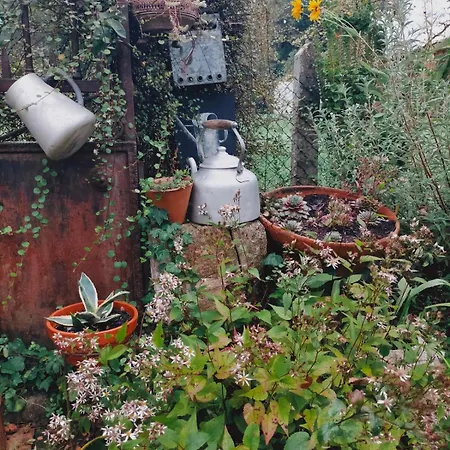 Jardin Du Chay 度假居 Galgon