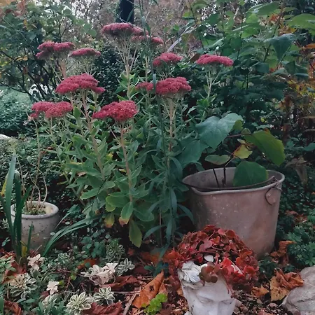 Jardin Du Chay Дом отдыха