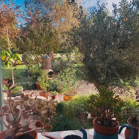 Jardin Du Chay