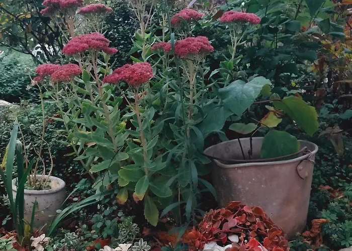 Jardin Du Chay Nyaraló